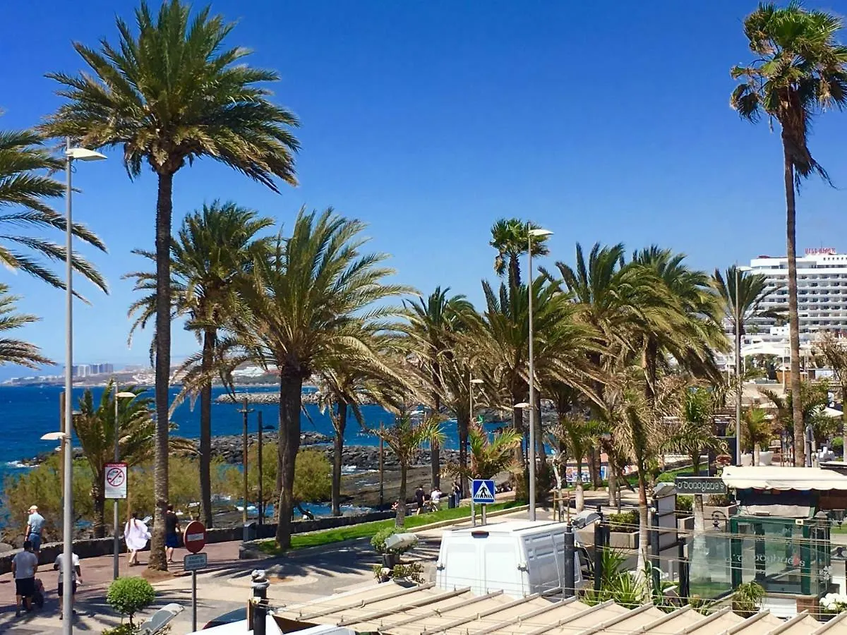 Beachfront Studio Las Americas Apartment Playa de las Americas   Playa de las Americas (Tenerife)